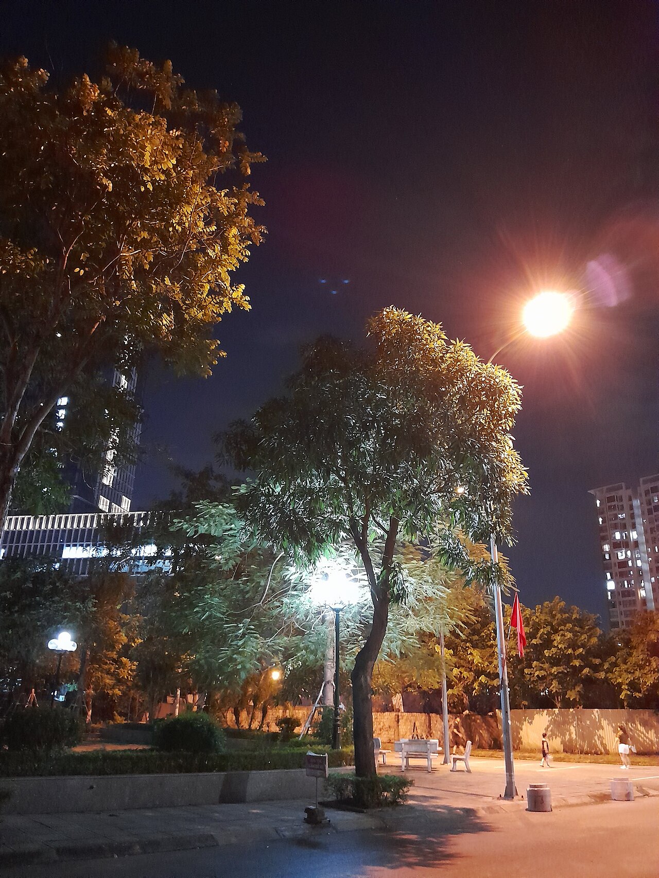 Joola or Selkirk Paddles: Which One Should You Choose?