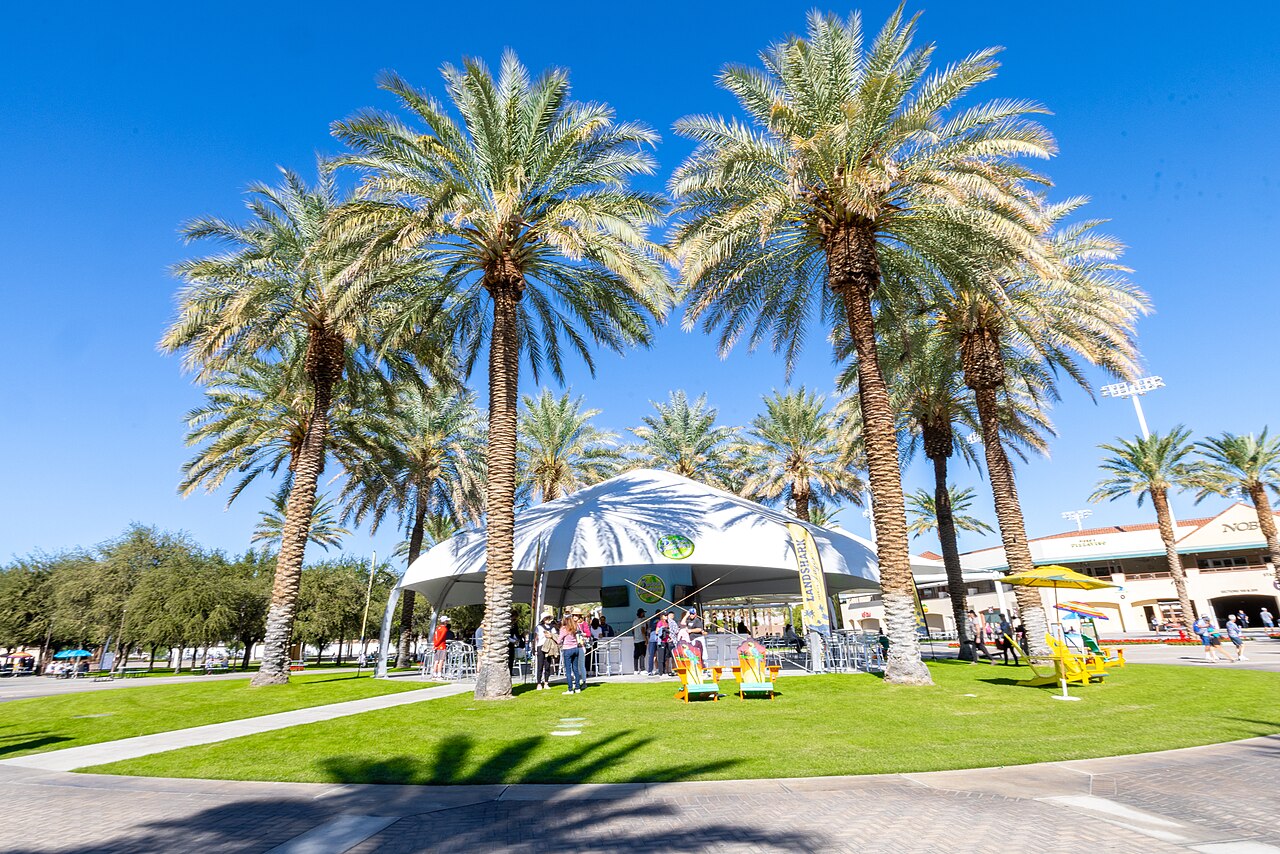 Improve Your Pickleball Skills with Shadow Swings Training