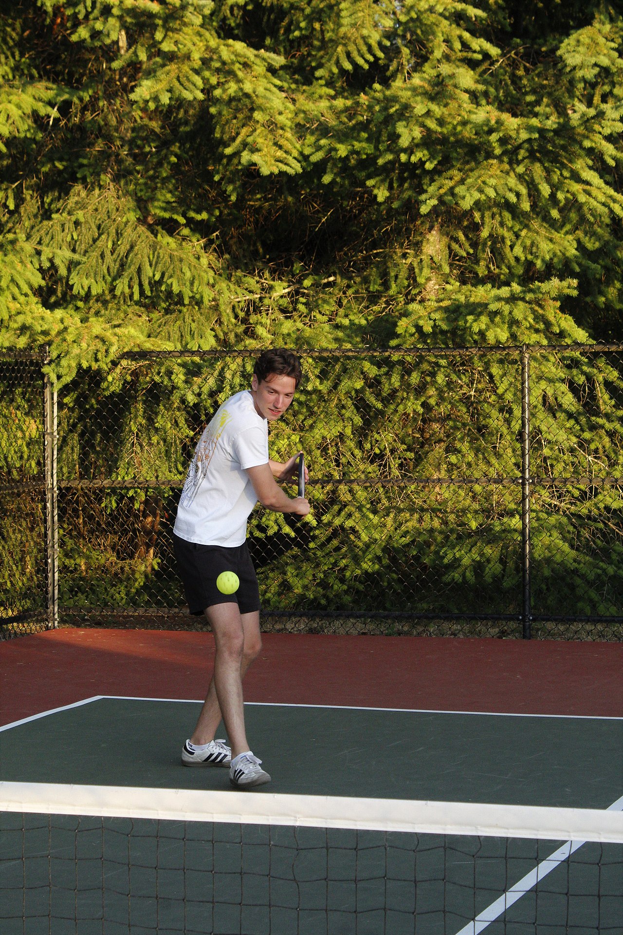 Understanding Pickleball Referee Hand Signals: A Complete Guide