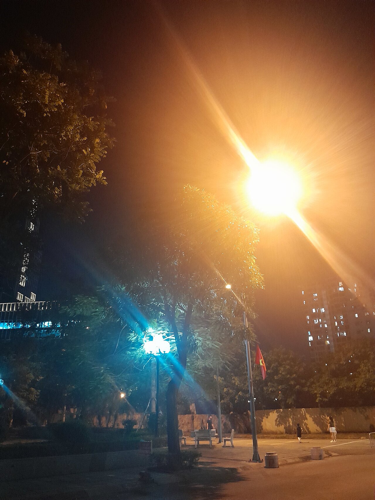 Step Up Your Game: The Best Pickleball Shoes for Women