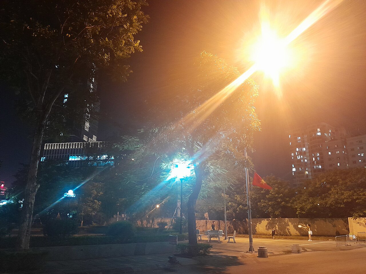 Best 5 Pickleball Paddles for New Players in 2026