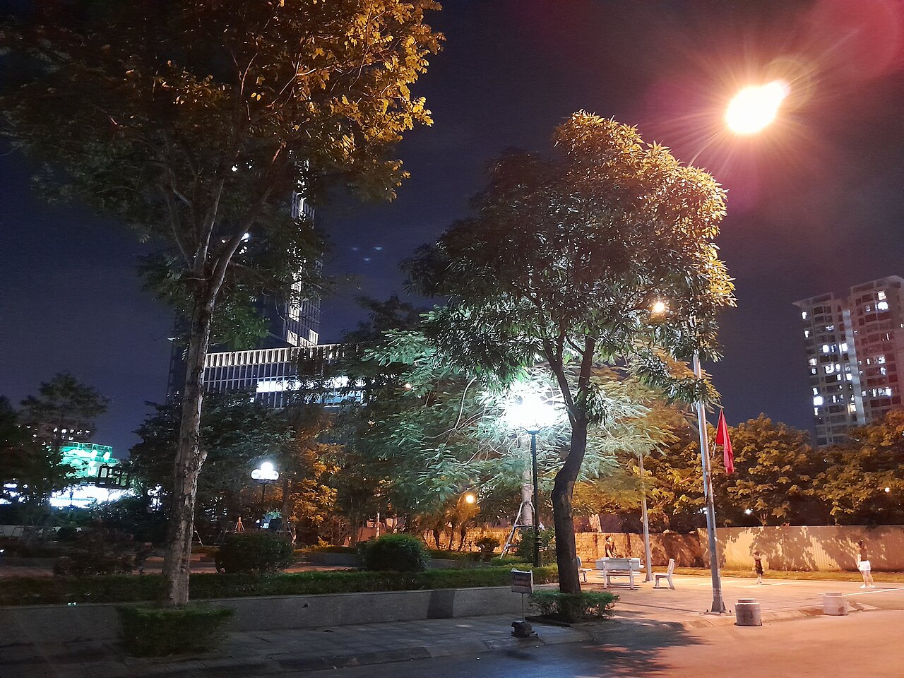 Unleashing Power: The Selkirk Power Air Invikta Paddle Review